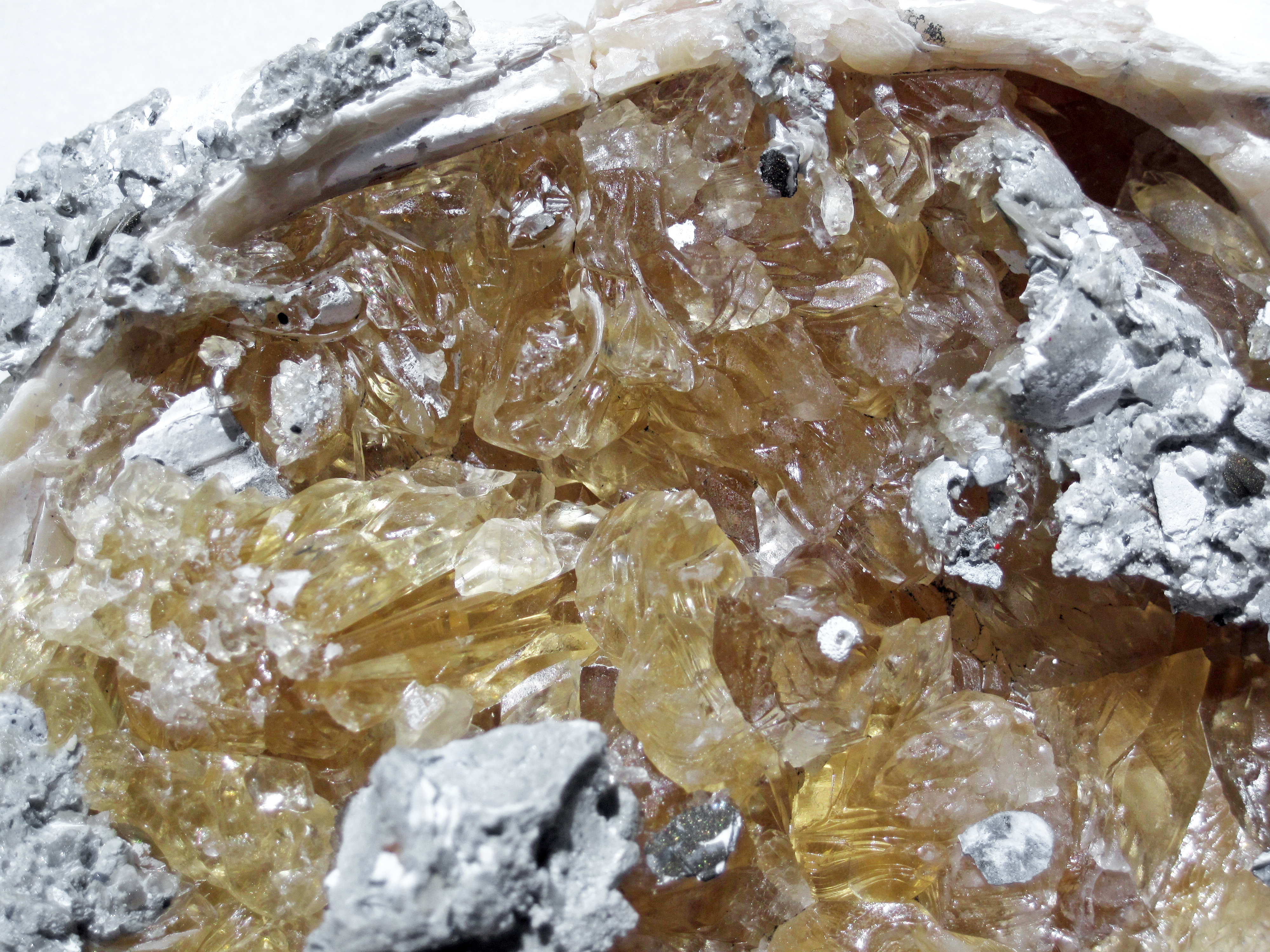 Geodized Mercenaria permagna (fossil bivalve shell) with calcite (Nashua Formation, Lower Pleistocene; near Ok