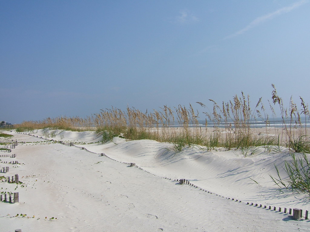 Sea oats
