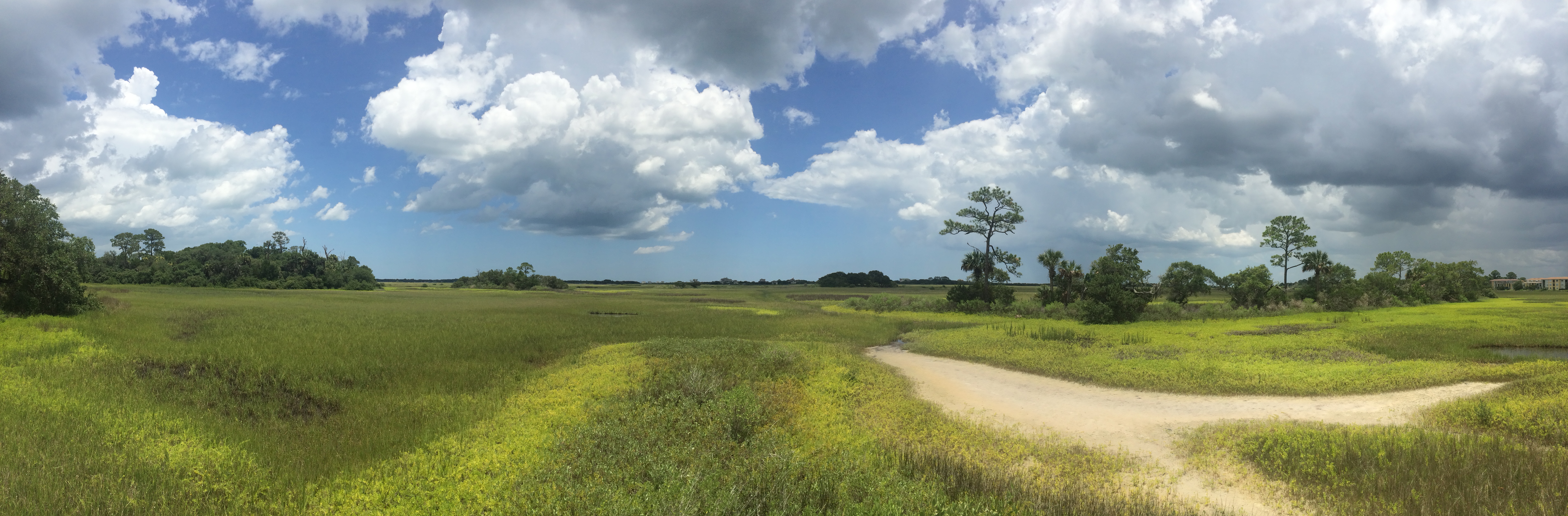 Fort Mose Panorama