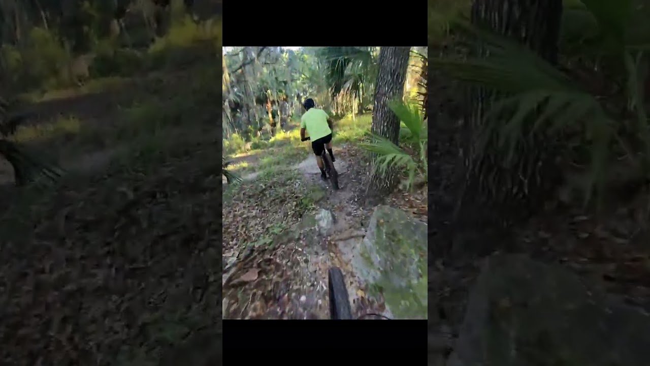Mountain biking the Graham swamp trail in Palm Coast Florida with David October 2025