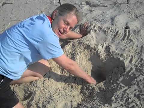 THREATENED: Sea Turtle Nesting and a Conservation Program Legacy on St. Vincent NWR