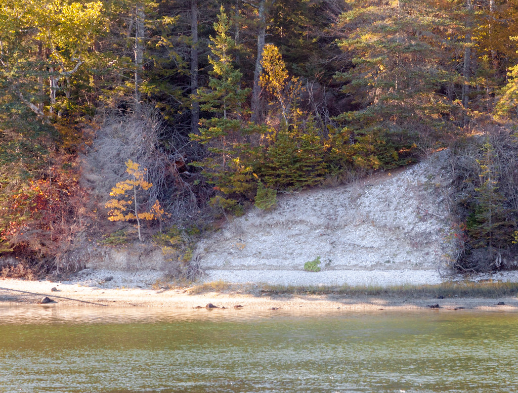 Shell Midden